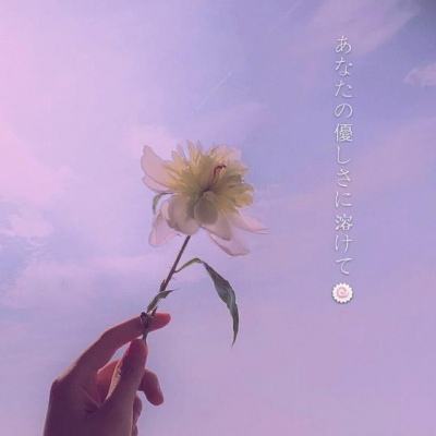 宝宝不怕免费下载